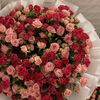 user29591991