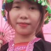 saobang288