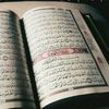 user02318609