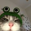 qtsyi