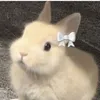 luhsinoka_03