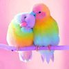 scelik_