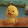 cuc_tran900