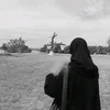 gdeer_2233