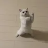 nganhh_06