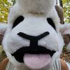 raymond_the_ram