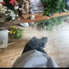 pawel_065
