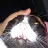 user73631495