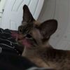 lyly.scroll