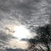 ameceleste85