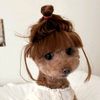 honeybee_abeer