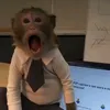 monkeypon322