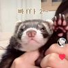 sinjks07