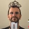 pineconelady