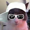 kittystu