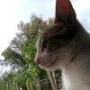 tinesarsuelo