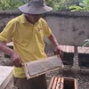 doan_nuoi_ong_mat