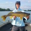ladywalleye