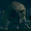 sif_el_gran_lobo