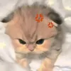 khoaitaycute_34