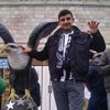 ahmet_1116