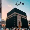 sabiranazir0