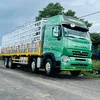ycchenglong375