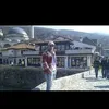 dinoberisha943