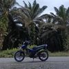 saputra901