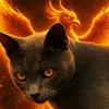 phenix3376