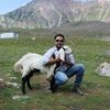 yasiramjad1