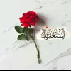 أنس أبو أحمد