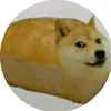 mikeletanfoglio