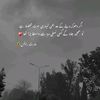 sammad246