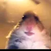 typ_philipp