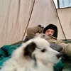 adobotvjapan