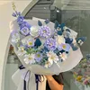 hananguyen_2023