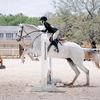 annacequestrian