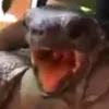 reallifeplayer_