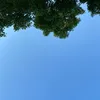 jknr1115