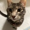 kittymomma318