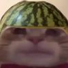 rapaniih