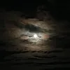 2712.202