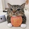 meows_168