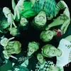 kpop.stay.143
