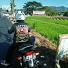 mass_bayu