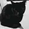 ariesaries_21