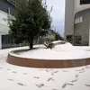 kaitococoa