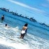 anabastarracheaca