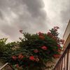 alnoor_a1